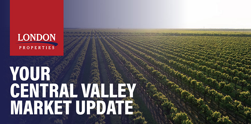 central-valley Real Estate Market Update