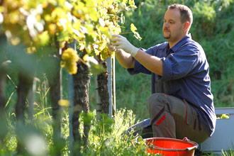 London Properties Farm and Land