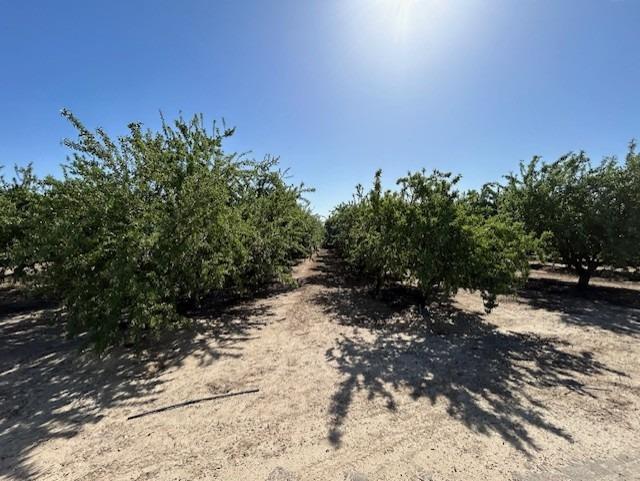 2740 E Overholser Avenue<br>Fresno, CA 93725-9613