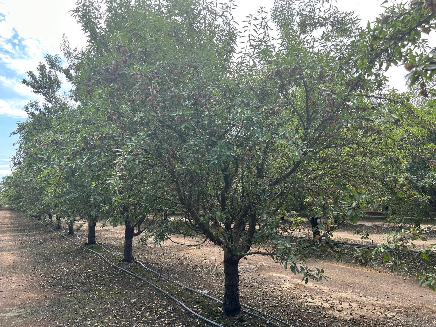 14487 Road 20 1/2<br>Madera, CA 93637-9218