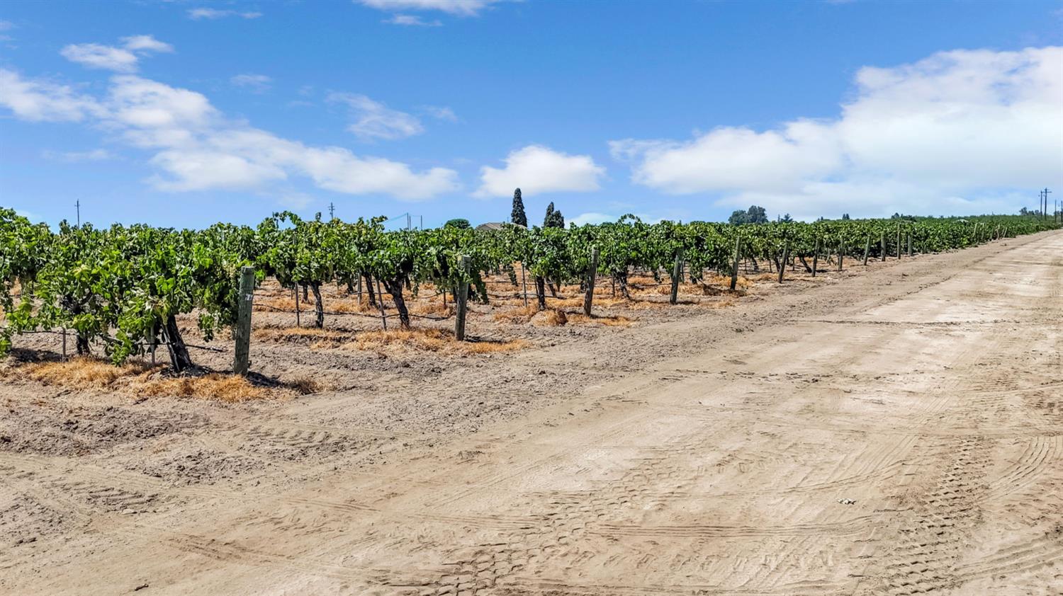 0 0 Avenue 13<br>Madera, CA 93637