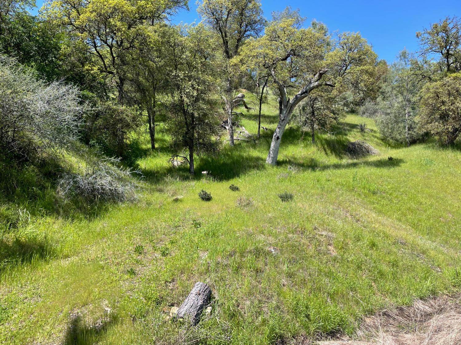 2993 E Granite Springs Rd, La Grange, CA 95329