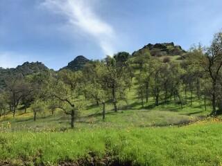 41871 Quail Run Dr, Three Rivers, CA 93271