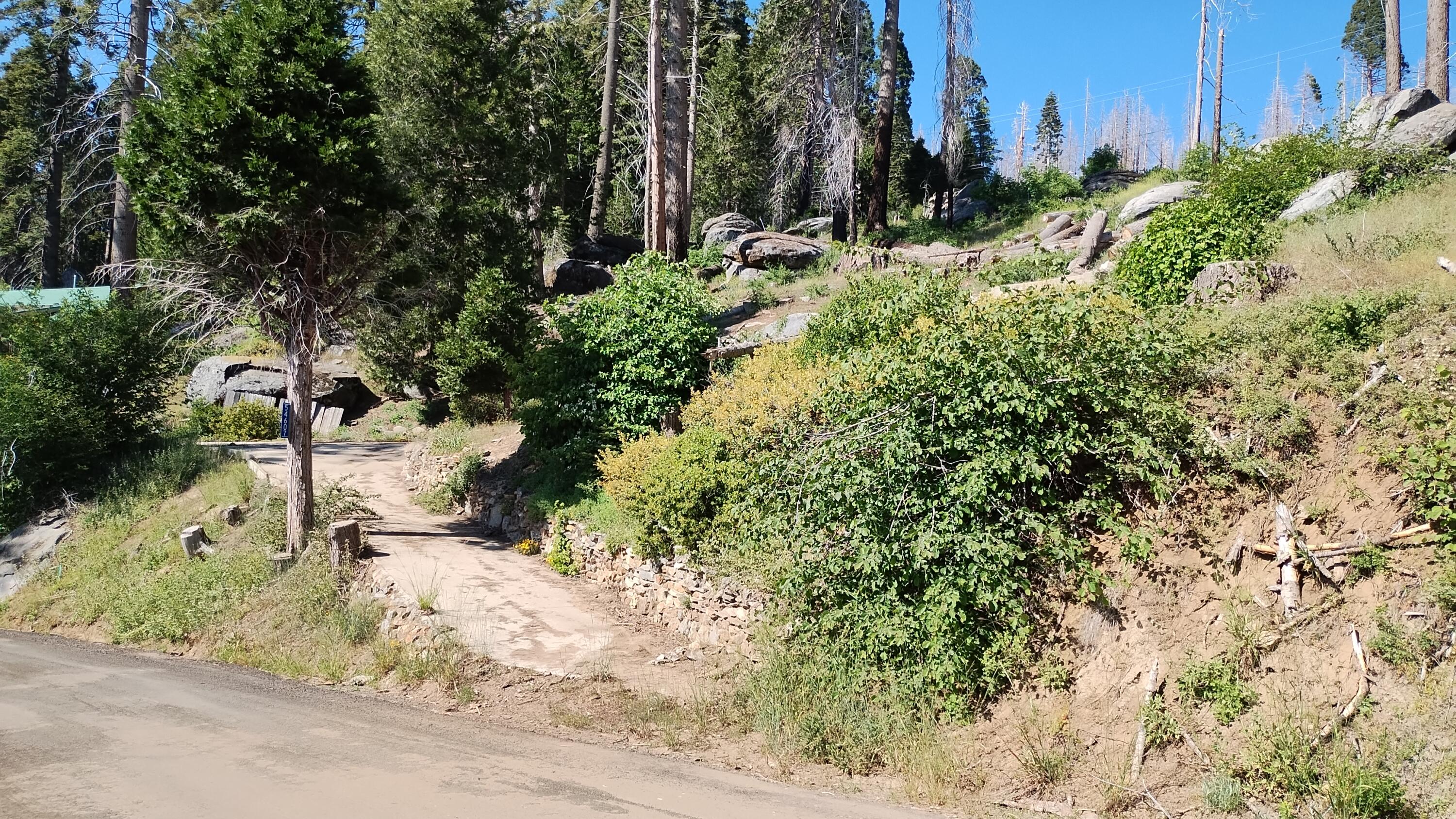 54607 Alder Dr, Sequoia Crest, CA 93265