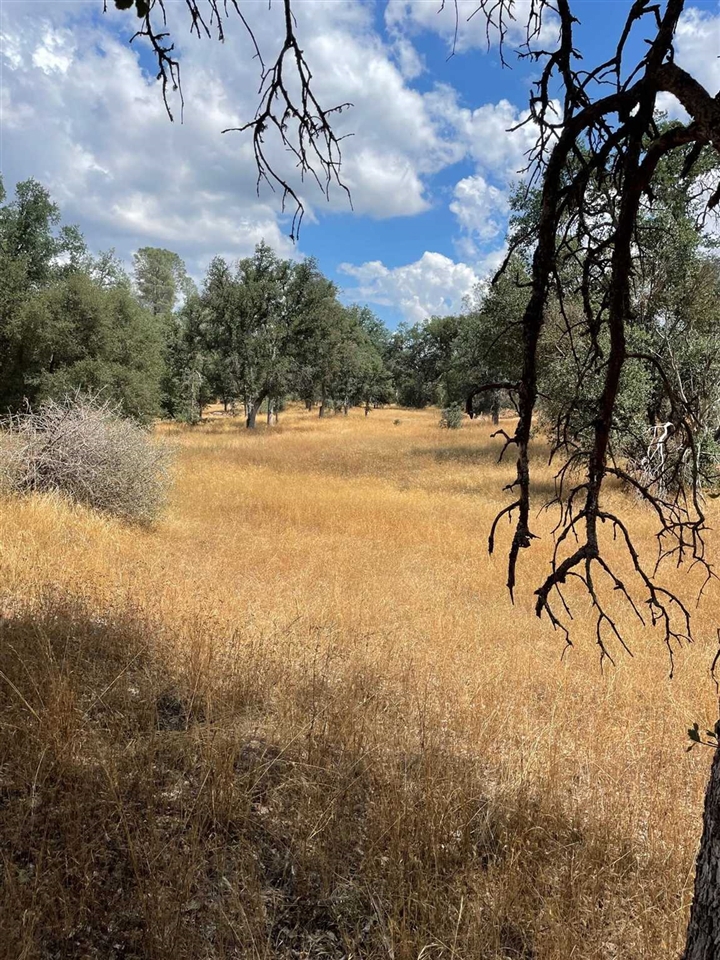 0 Bull Creek Rd 2S05, Coulterville, CA 95311