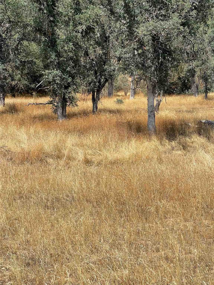 0 Bull Creek Rd 2S05, Coulterville, CA 95311