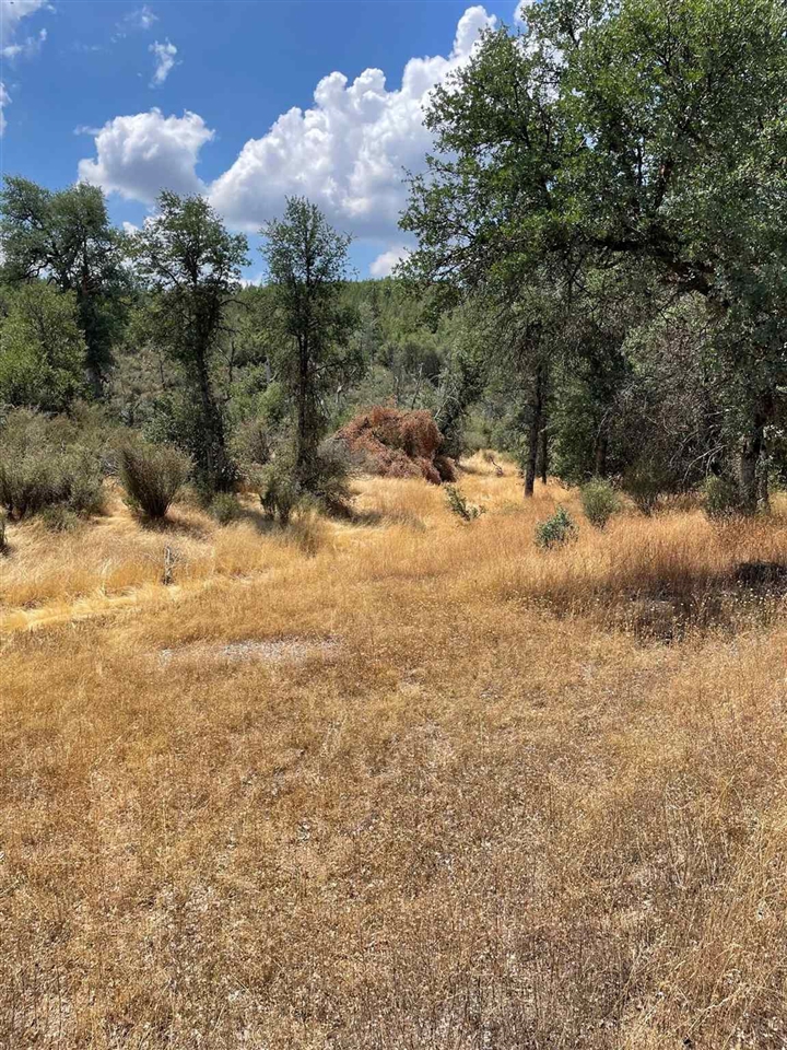 0 Bull Creek Rd 2S05, Coulterville, CA 95311