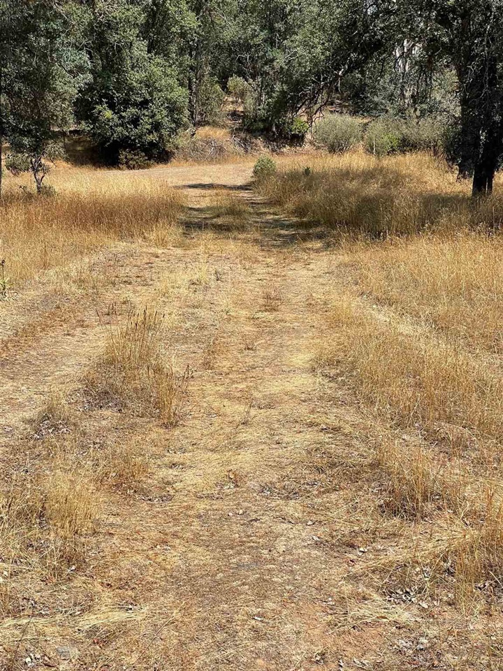 0 Bull Creek Rd 2S05, Coulterville, CA 95311