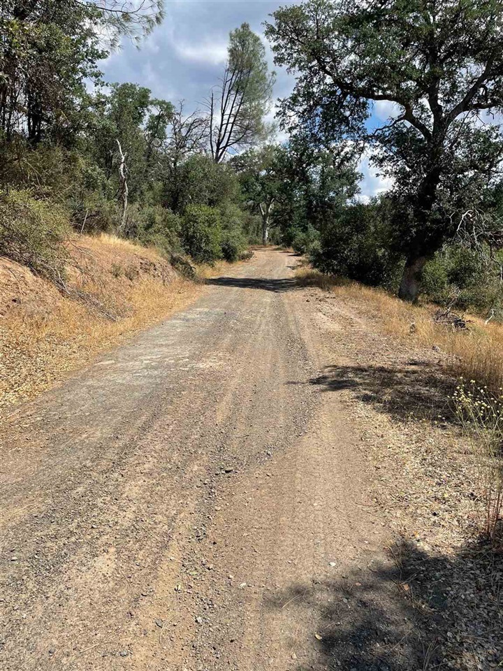 0 Bull Creek Rd 2S05, Coulterville, CA 95311