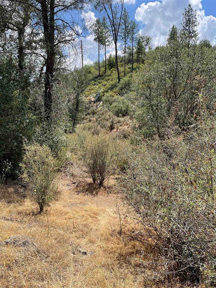 0 Bull Creek Rd 2S05, Coulterville, CA 95311