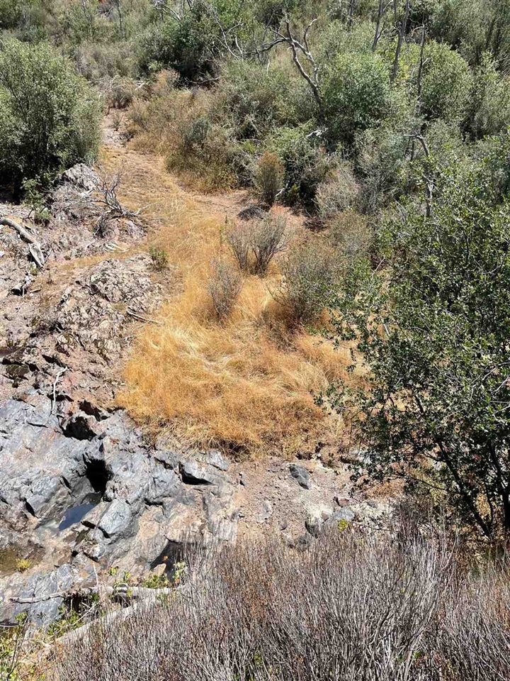 0 Bull Creek Rd 2S05, Coulterville, CA 95311