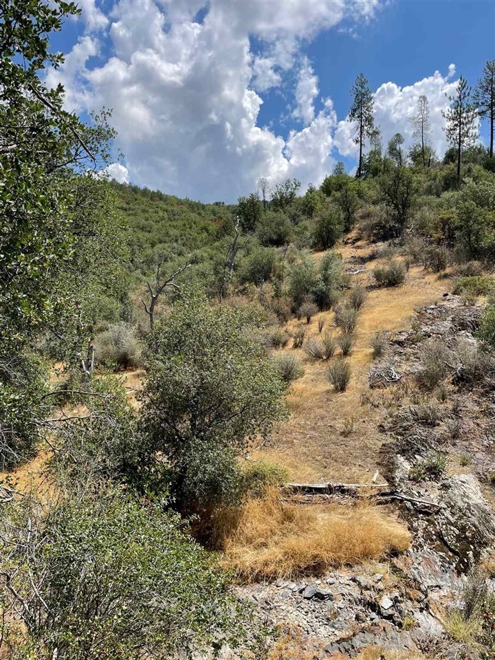 0 Bull Creek Rd 2S05, Coulterville, CA 95311