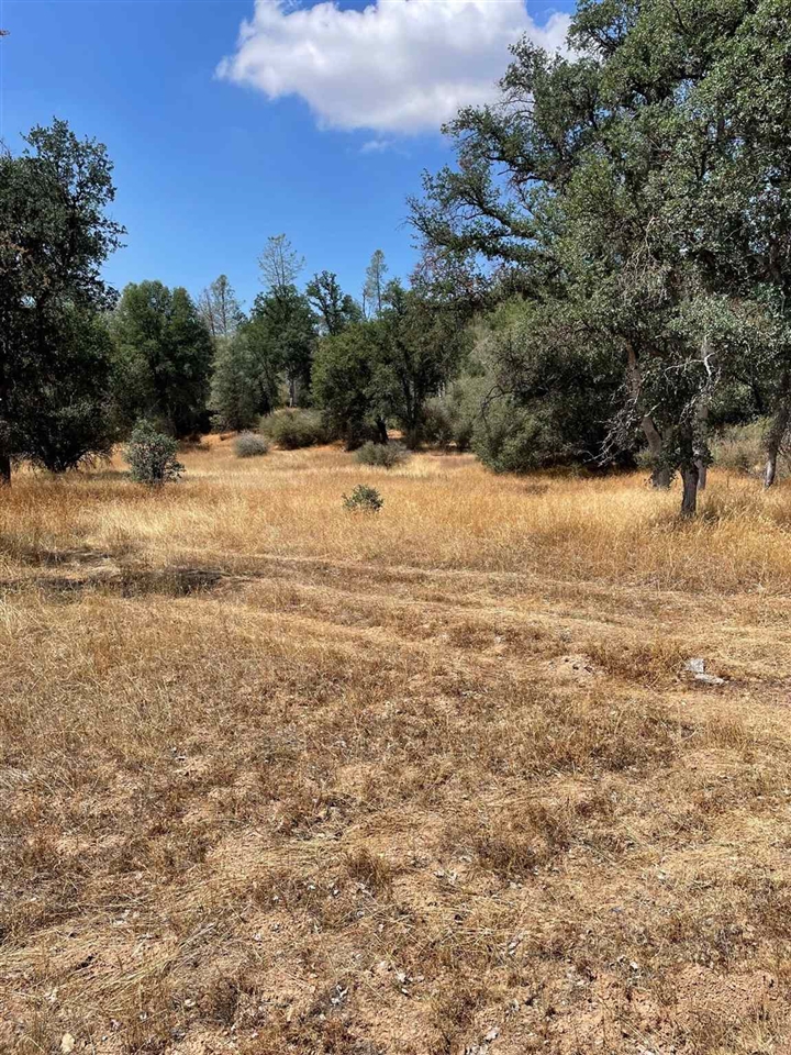 0 Bull Creek Rd 2S05, Coulterville, CA 95311