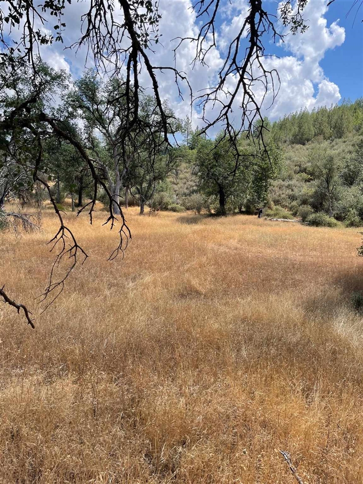 0 Bull Creek Rd 2S05, Coulterville, CA 95311