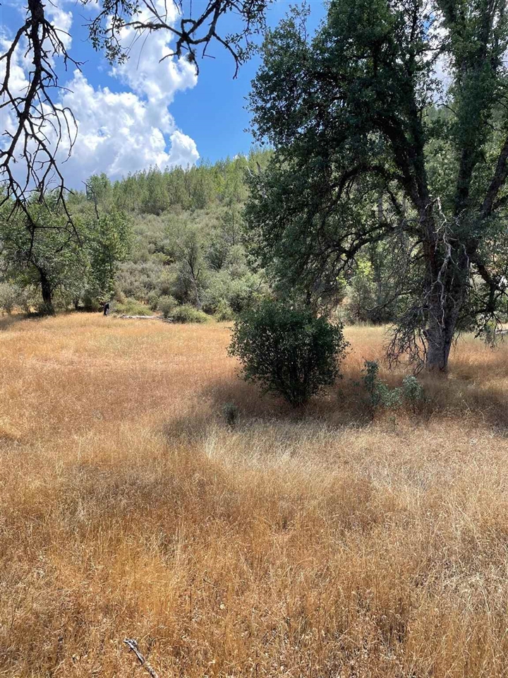 0 Bull Creek Rd 2S05, Coulterville, CA 95311