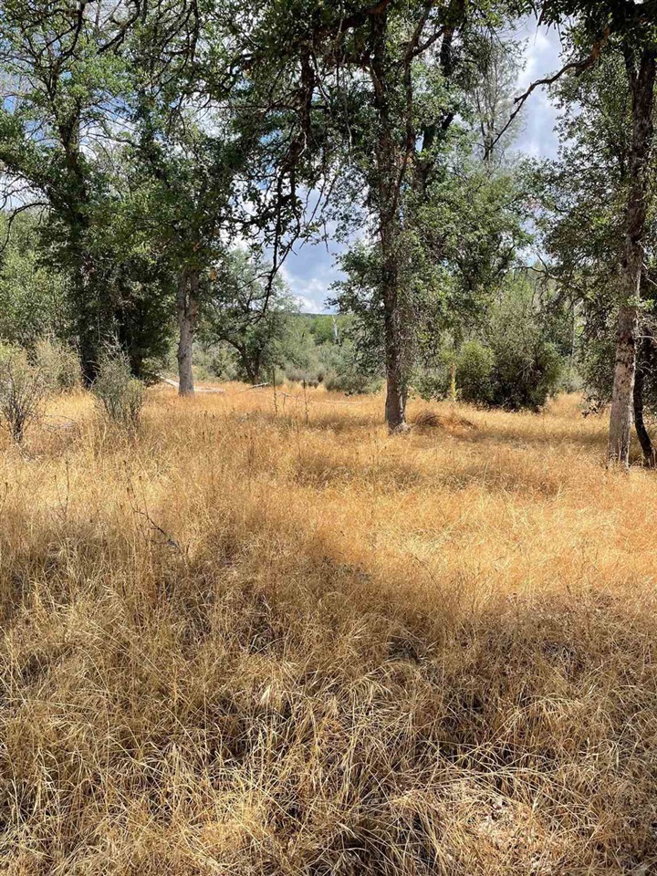 0 Bull Creek Rd 2S05, Coulterville, CA 95311
