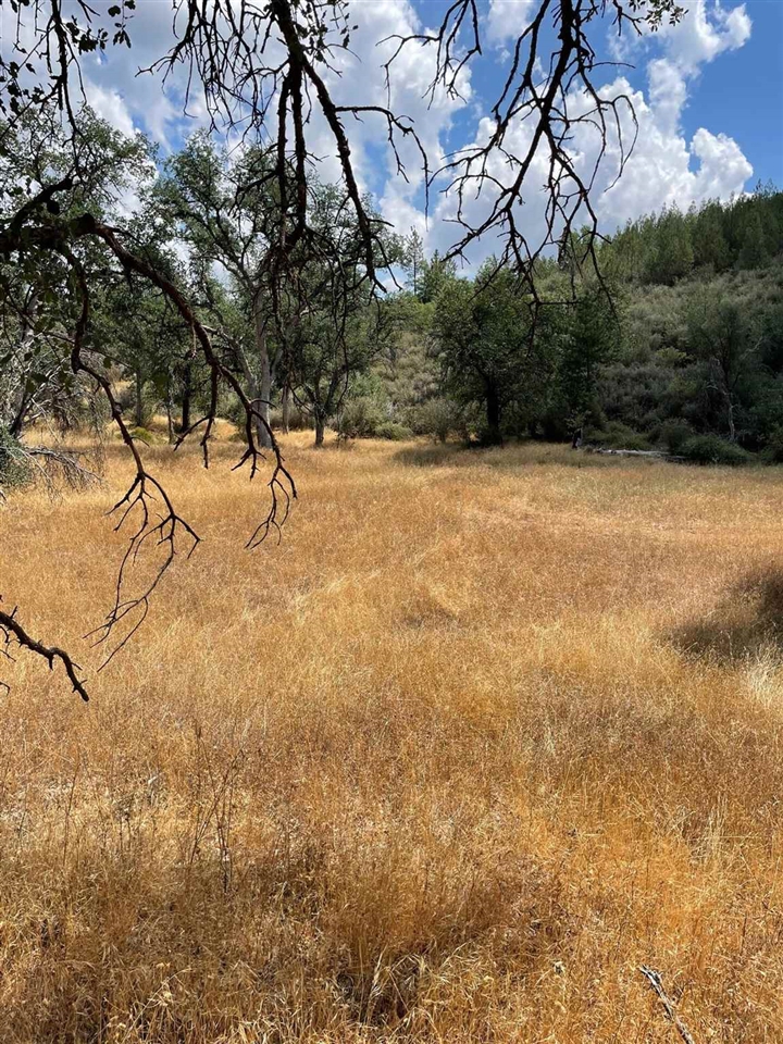 0 Bull Creek Rd 2S05, Coulterville, CA 95311