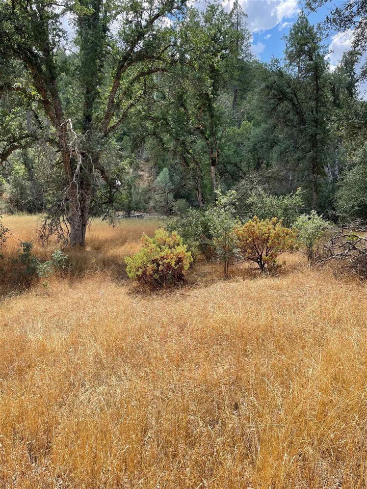 0 Bull Creek Rd 2S05, Coulterville, CA 95311