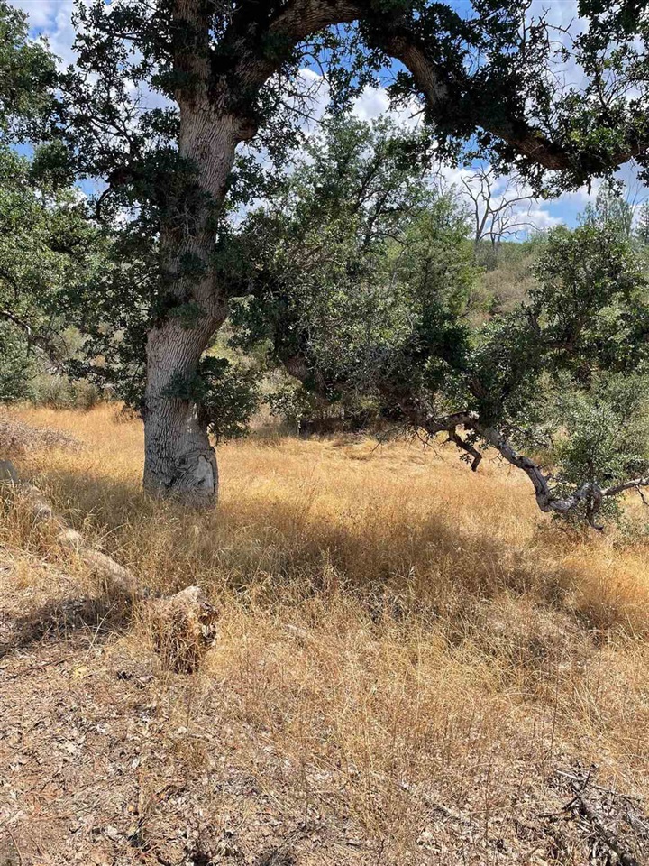 0 Bull Creek Rd 2S05, Coulterville, CA 95311