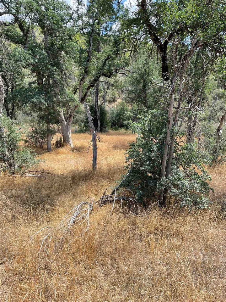 0 Bull Creek Rd 2S05, Coulterville, CA 95311