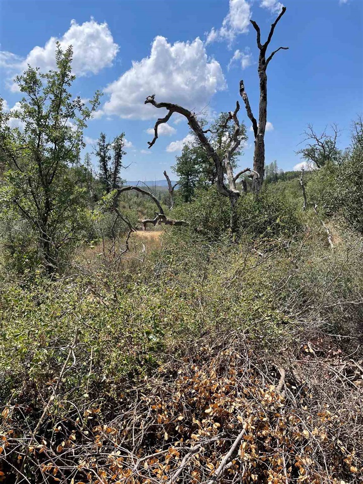 0 Bull Creek Rd 2S05, Coulterville, CA 95311