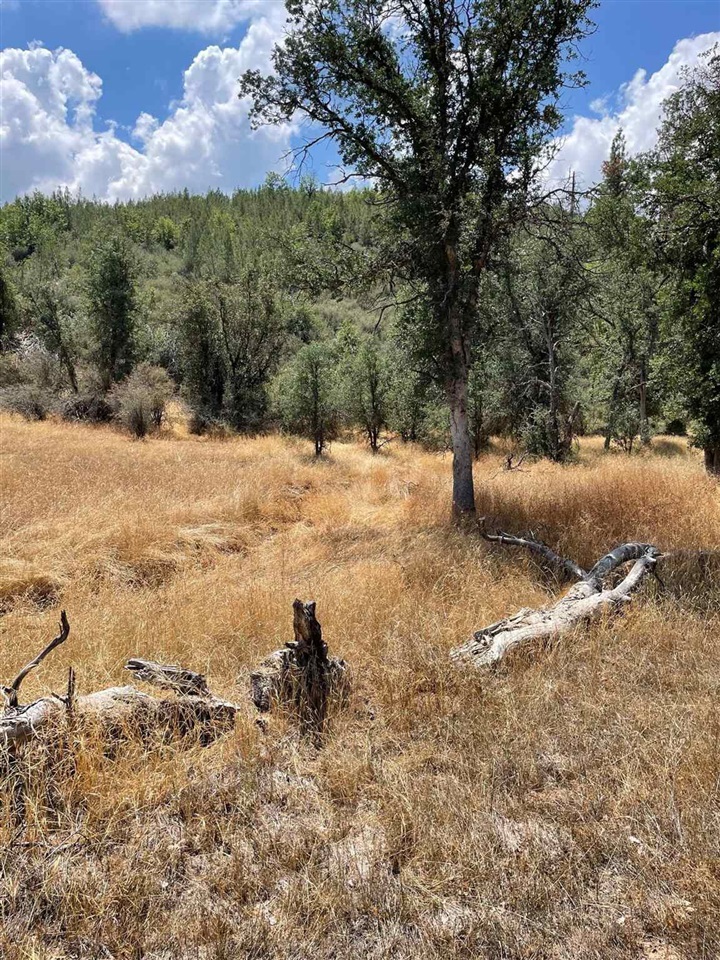 0 Bull Creek Rd 2S05, Coulterville, CA 95311