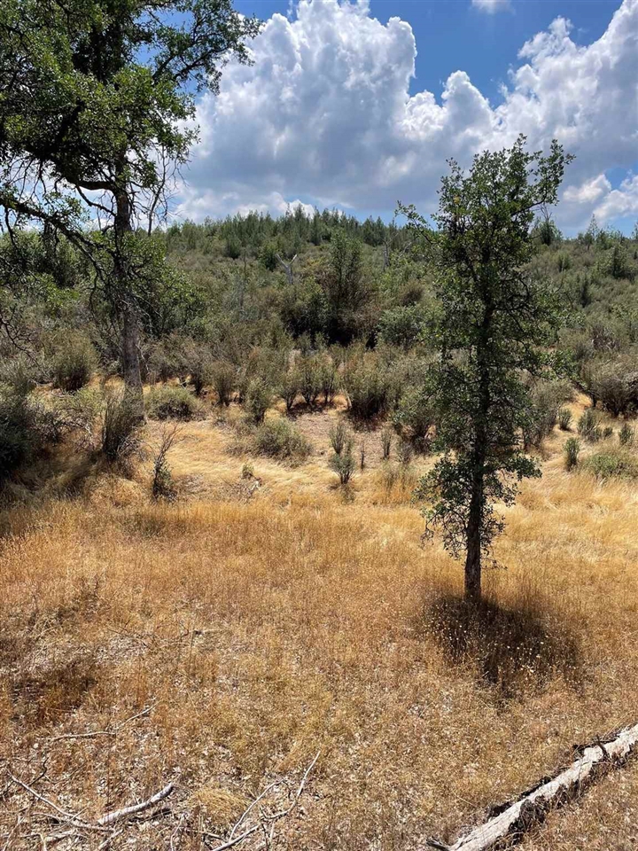0 Bull Creek Rd 2S05, Coulterville, CA 95311