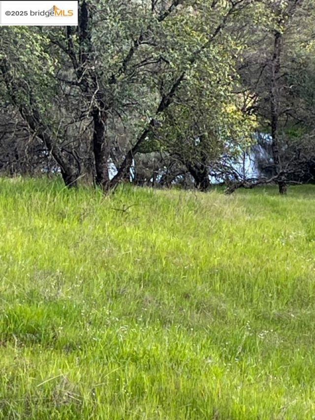 10404 State Highway 49, Coulterville, CA 95311-9752