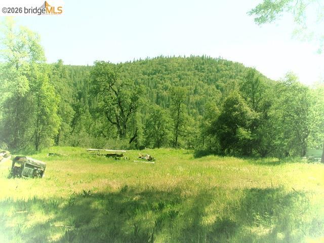 17242 Philadelphia Rd., Twain Harte, CA 95383