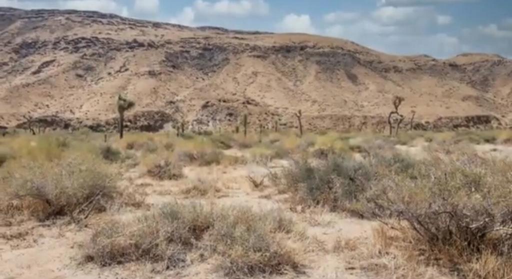 55455 Pipes Canyon, Pioneertown, CA 92268