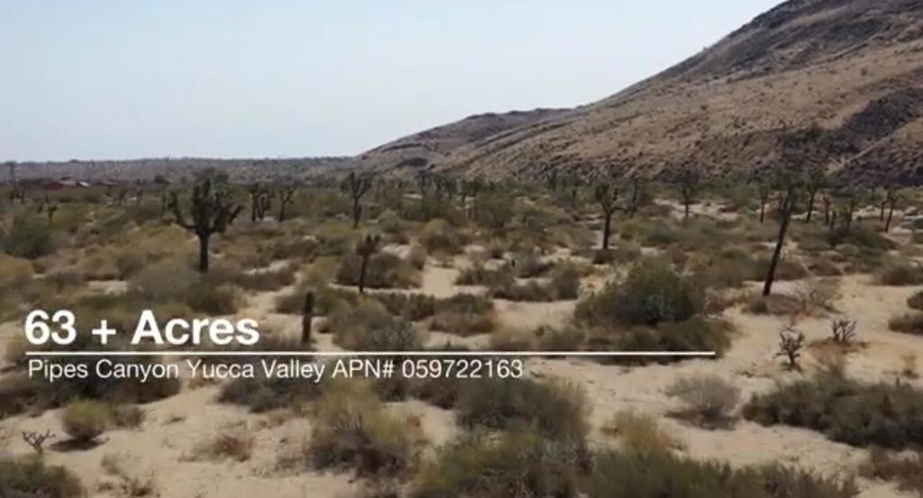 55455 Pipes Canyon, Pioneertown, CA 92268