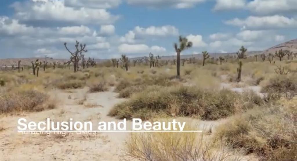 55455 Pipes Canyon, Pioneertown, CA 92268