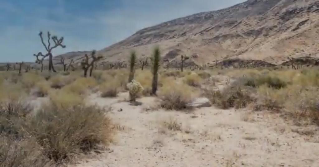 55455 Pipes Canyon, Pioneertown, CA 92268