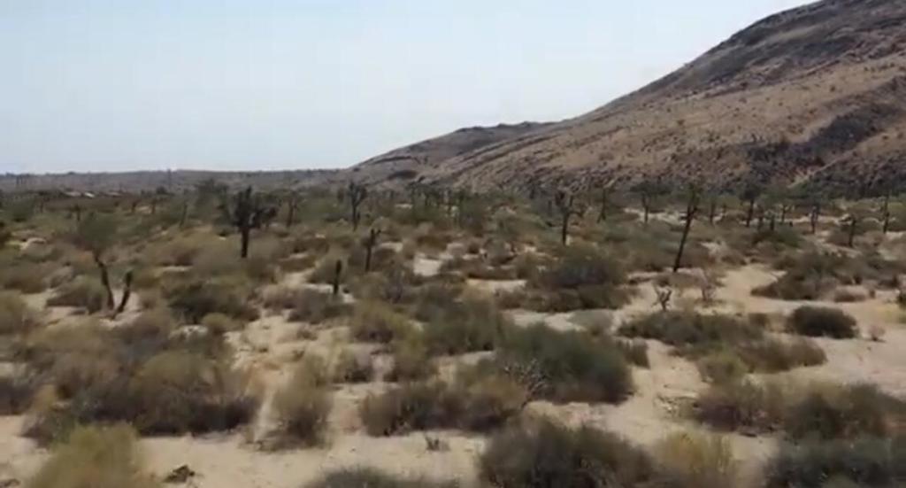 55455 Pipes Canyon, Pioneertown, CA 92268