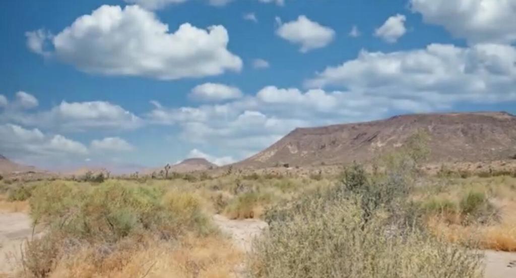 55455 Pipes Canyon, Pioneertown, CA 92268