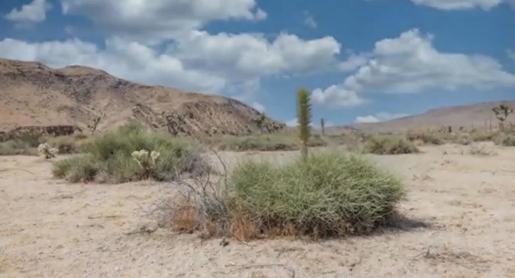 55455 Pipes Canyon, Pioneertown, CA 92268