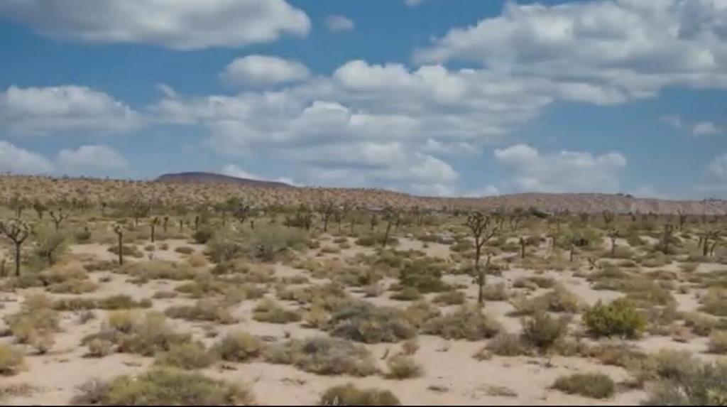 55455 Pipes Canyon, Pioneertown, CA 92268