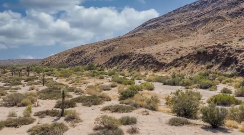 55455 Pipes Canyon, Pioneertown, CA 92268