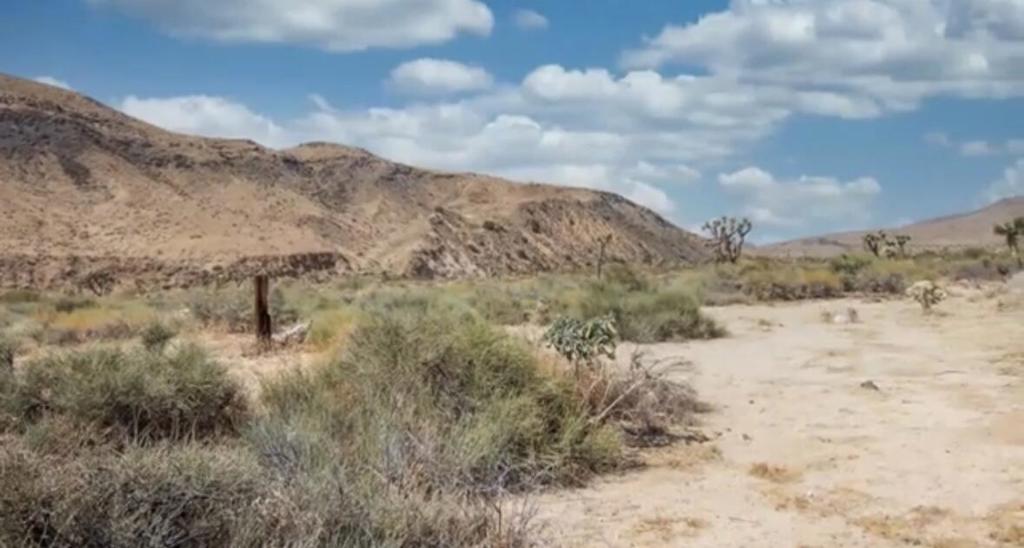 55455 Pipes Canyon, Pioneertown, CA 92268