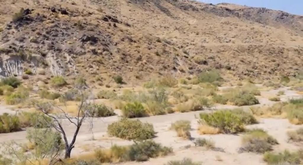 55455 Pipes Canyon, Pioneertown, CA 92268