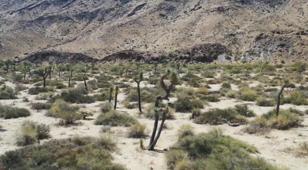 55455 Pipes Canyon, Pioneertown, CA 92268