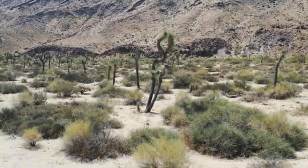 55455 Pipes Canyon, Pioneertown, CA 92268