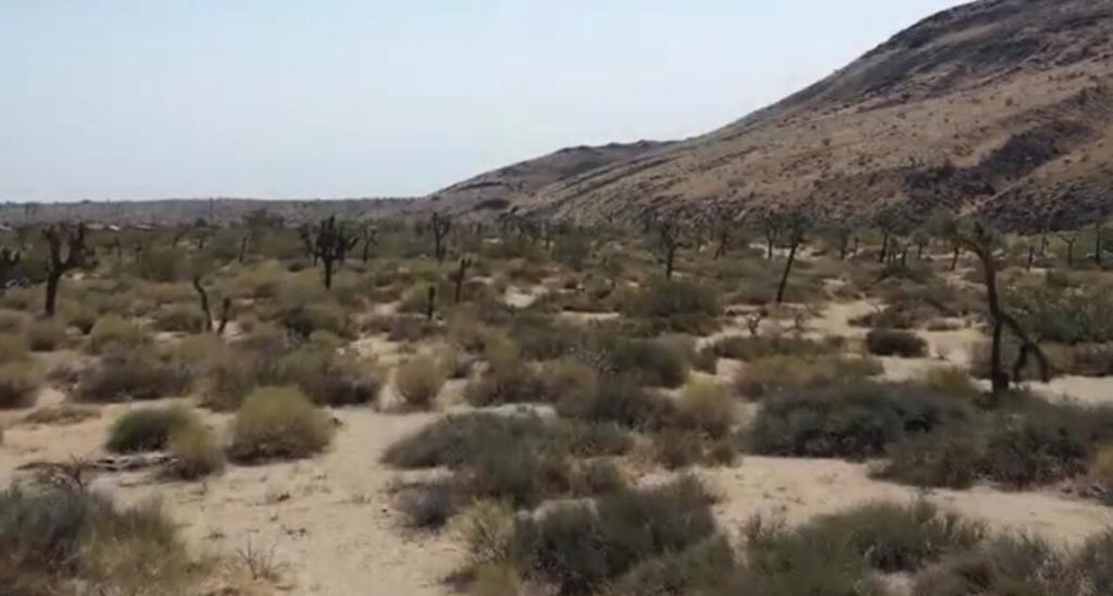 55455 Pipes Canyon, Pioneertown, CA 92268