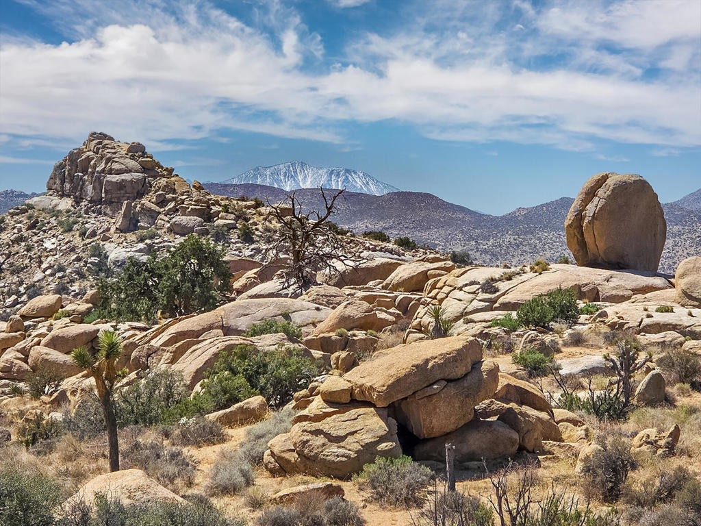 101 Hondo St, Pioneertown, CA 92268