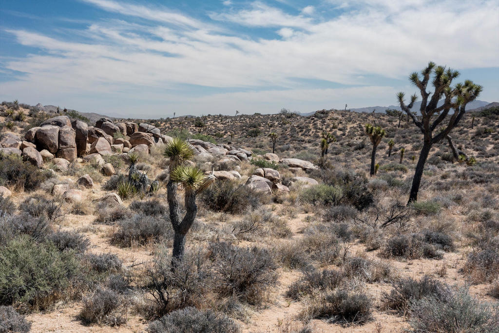 101 Hondo St, Pioneertown, CA 92268