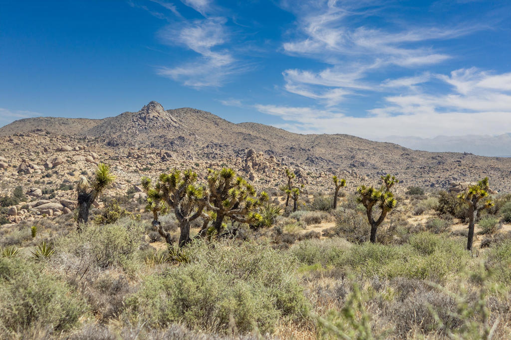 101 Hondo St, Pioneertown, CA 92268