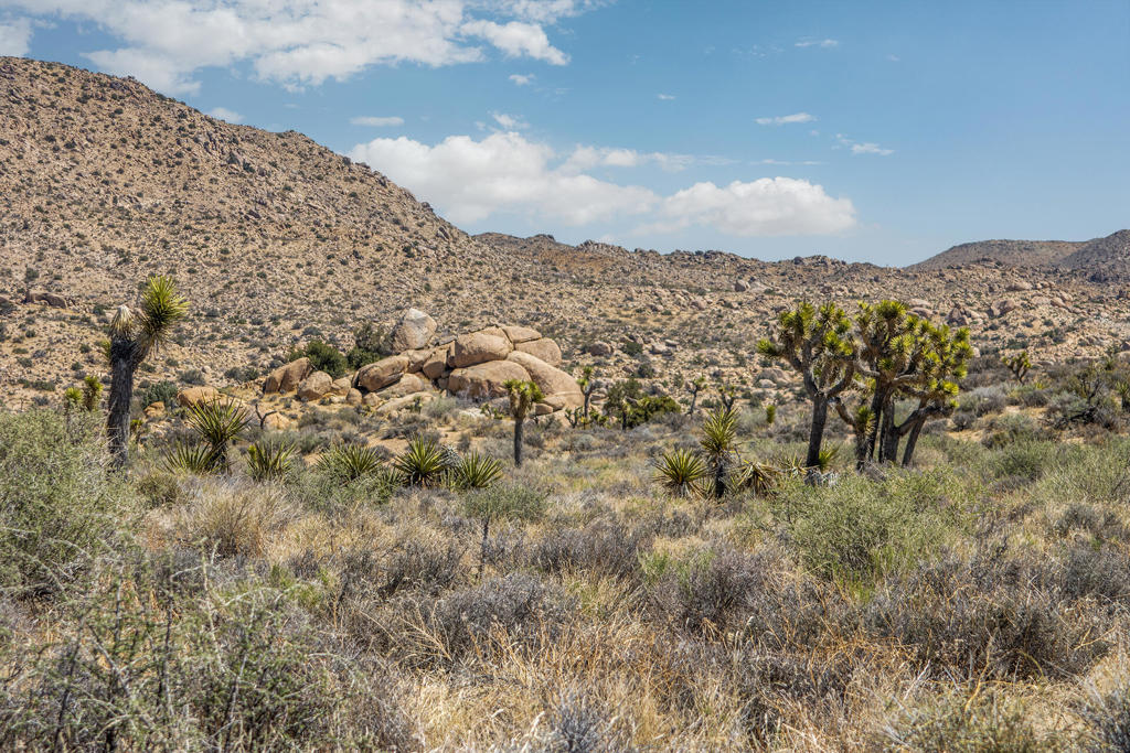 101 Hondo St, Pioneertown, CA 92268