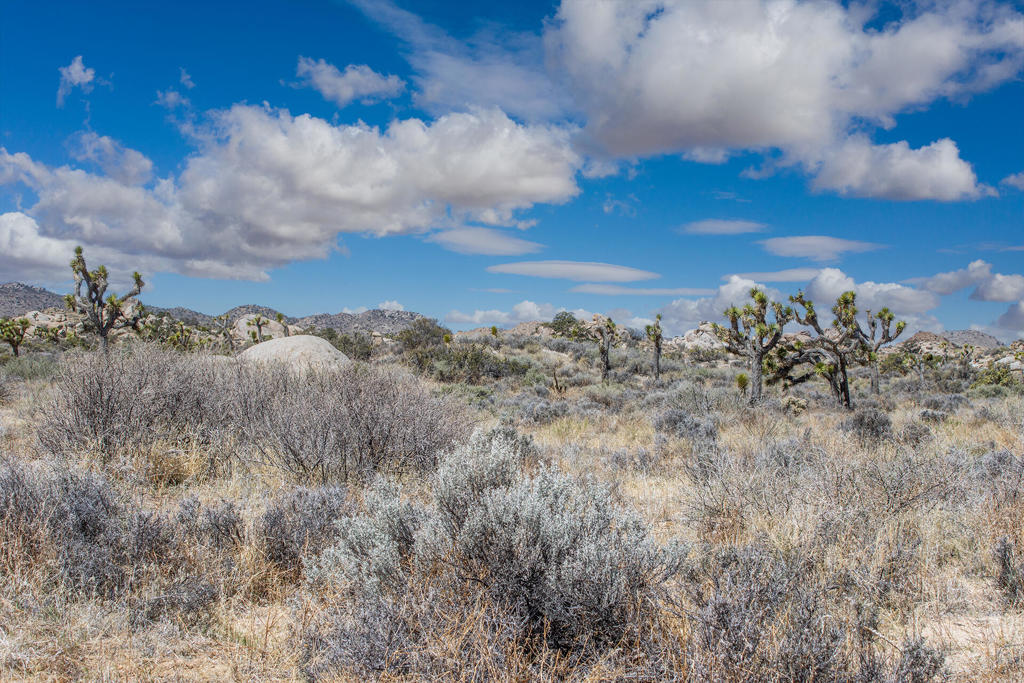 101 Hondo St, Pioneertown, CA 92268