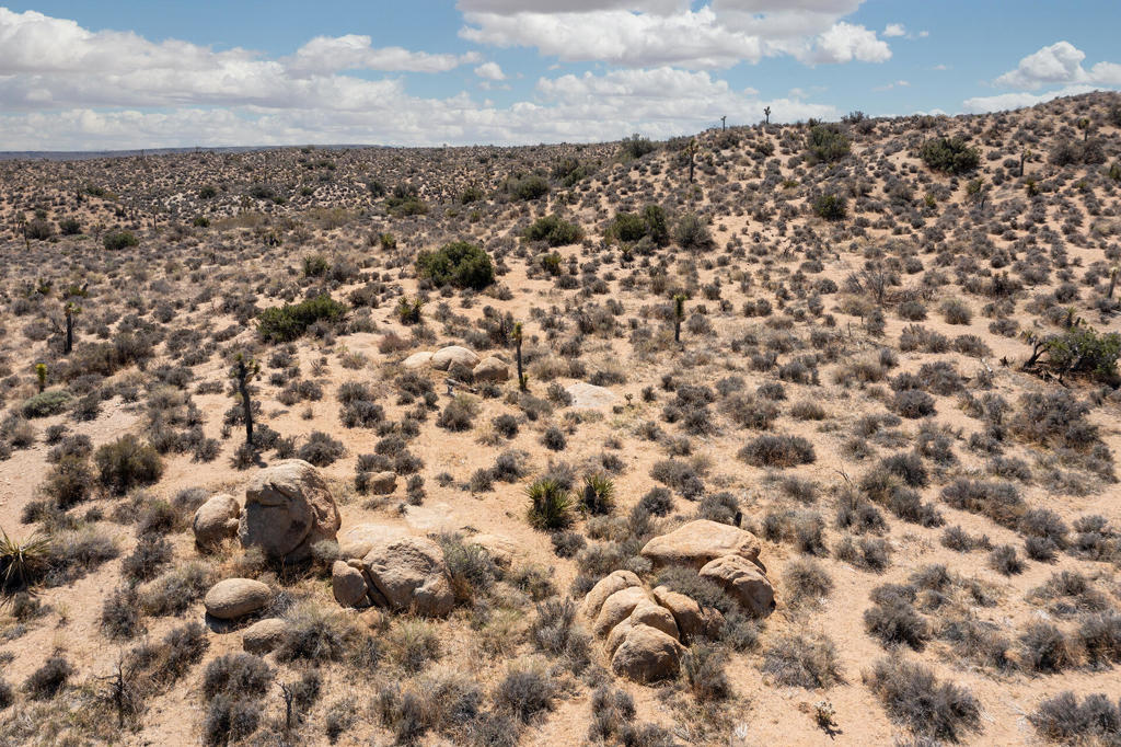 101 Hondo St, Pioneertown, CA 92268