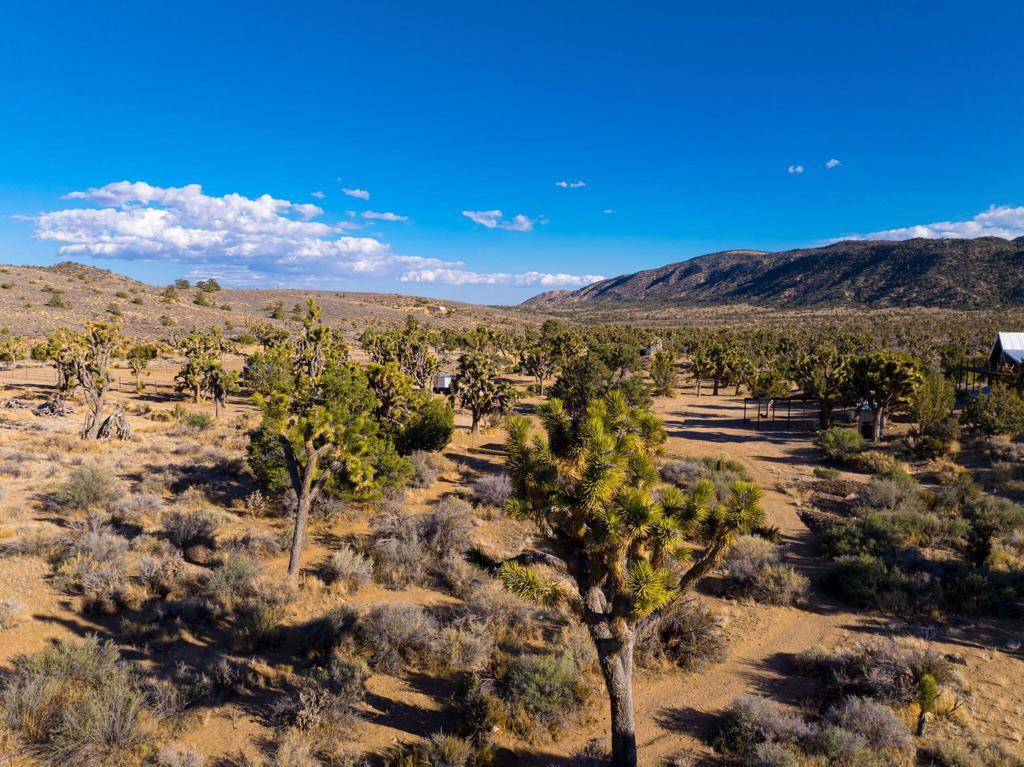 1102 Burlington Rd, Pioneertown, CA 92268